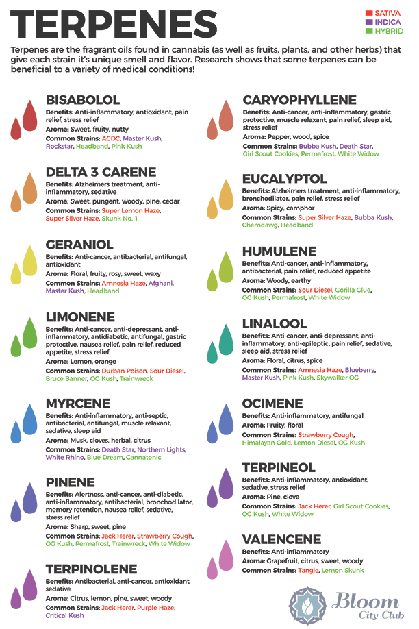 Terpenes